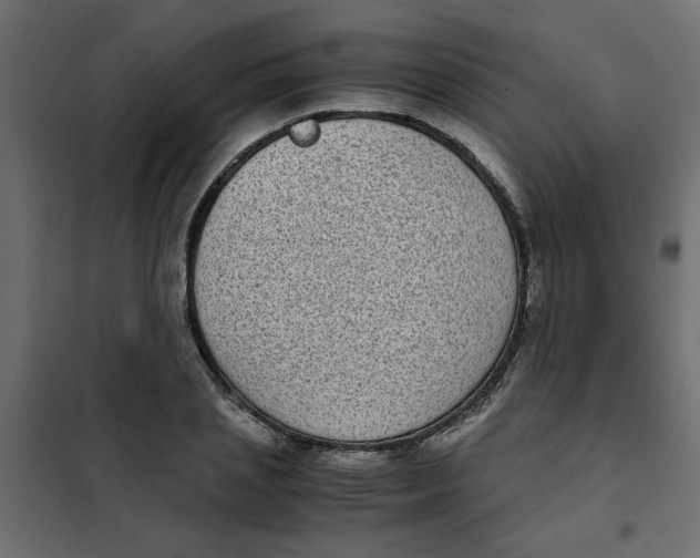 X0000101990837200808081633