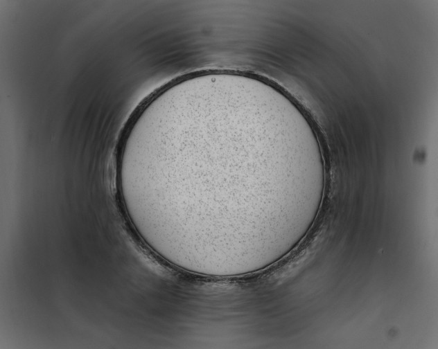 X0000101990838200808081633