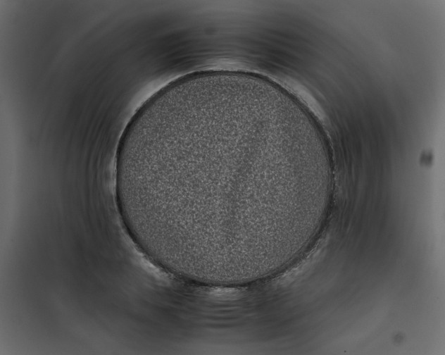 X0000101990839200808081633