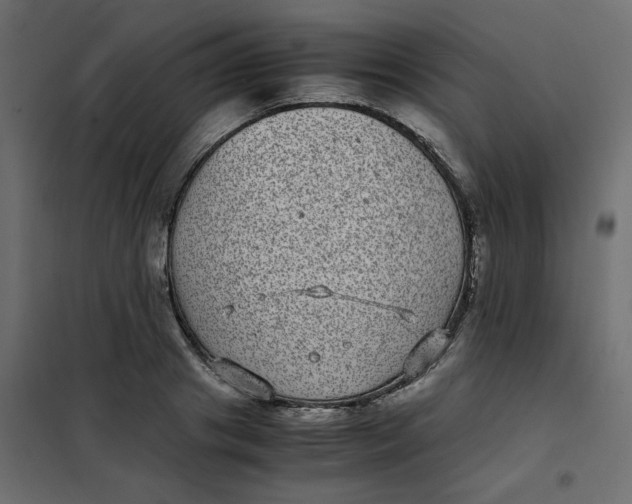 X0000101990841200808081633