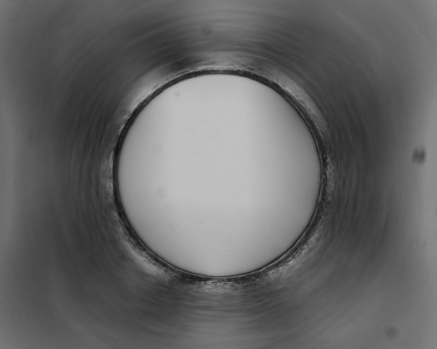 X0000101990842200808081633