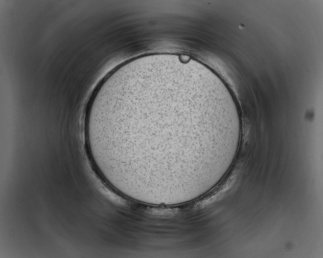 X0000101990843200808081633