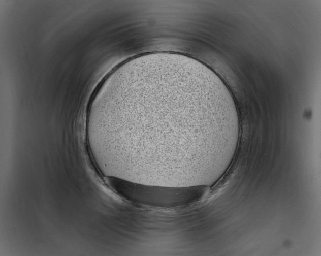 X0000101990844200808081633