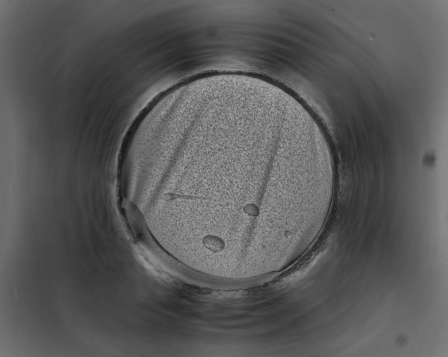 X0000101990845200808081633