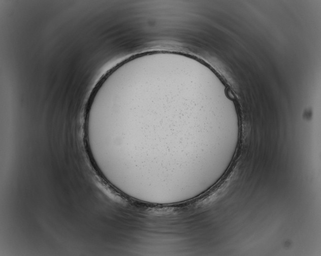 X0000101990846200808081633