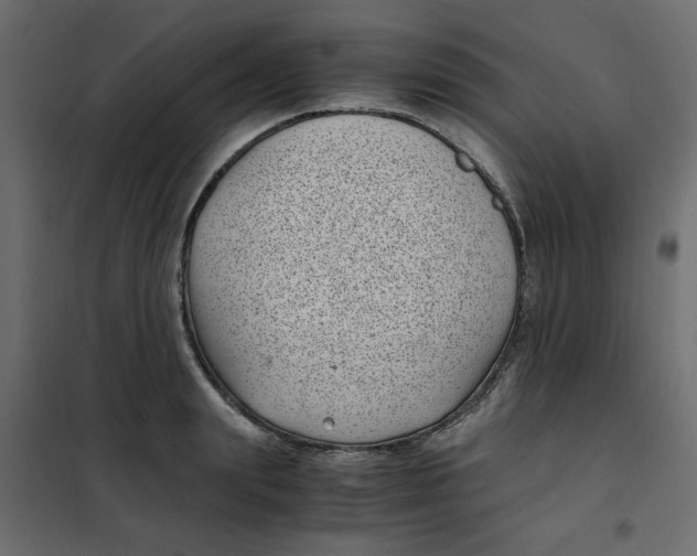 X0000101990847200808081633