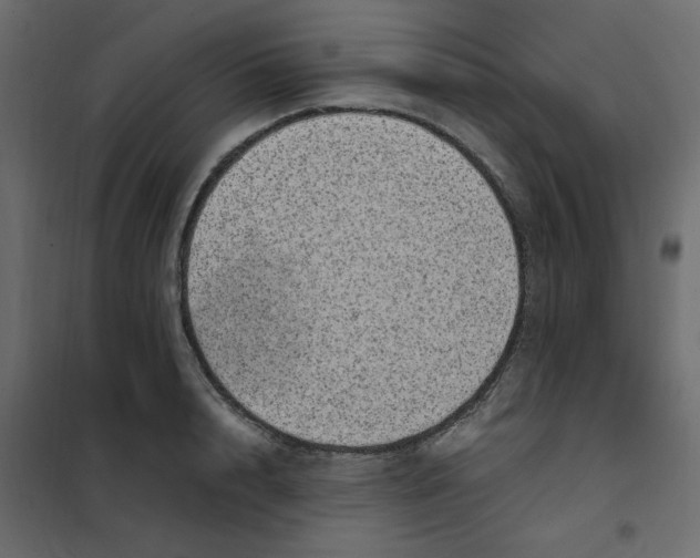 X0000101990848200808081633