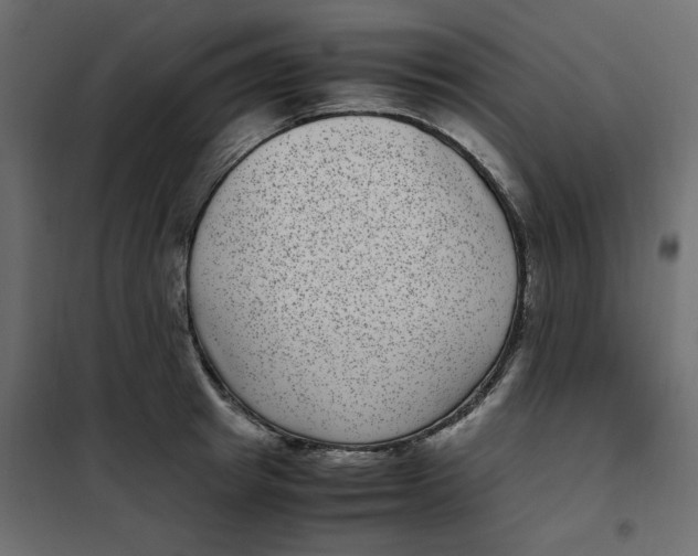 X0000101990849200808081633