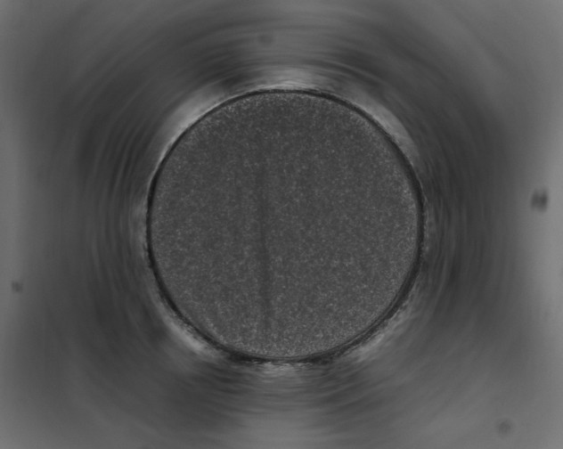 X0000101990850200808081633