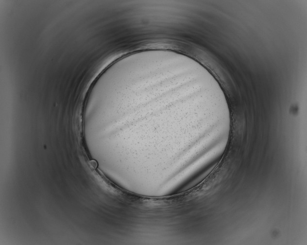 X0000101990852200808081633