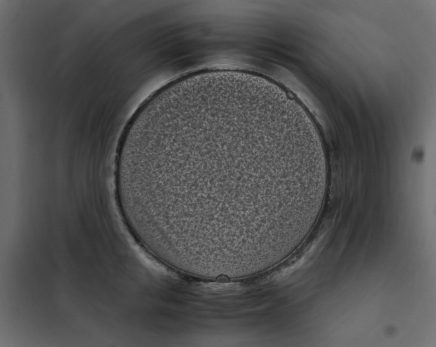 X0000101990853200808081633