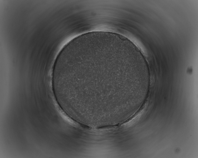 X0000101990854200808081633