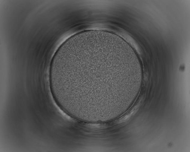 X0000101990855200808081633