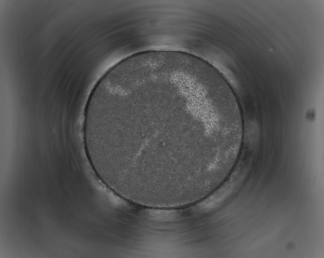 X0000101990856200808081633