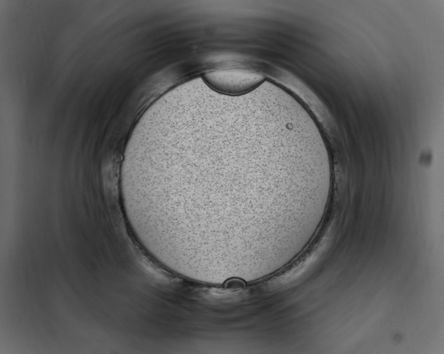 X0000101990857200808081633