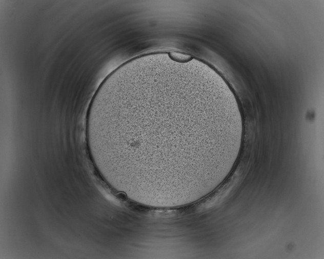 X0000101990858200808081633