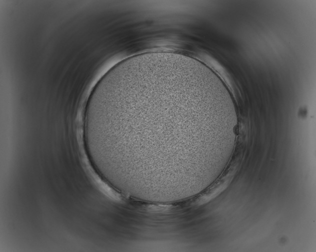 X0000101990859200808081633