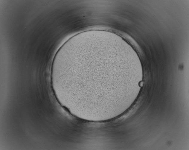 X0000101990860200808081634