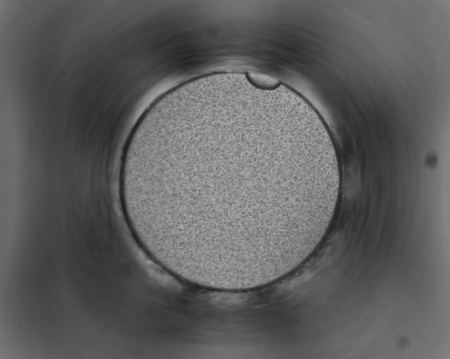 X0000101990861200808081634