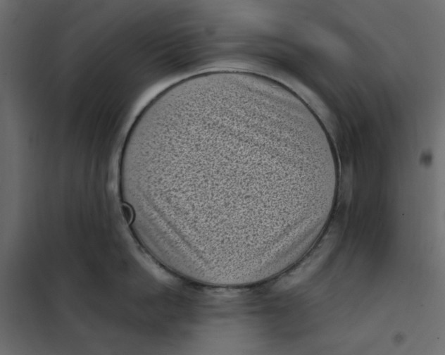 X0000101990862200808081634