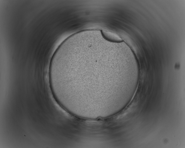 X0000101990863200808081634