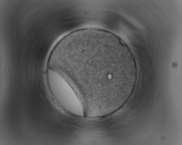 X0000101990864200808081634