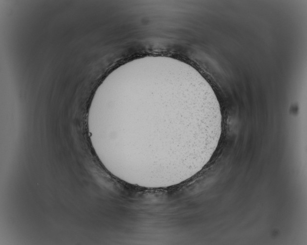 X0000101990865200808081633