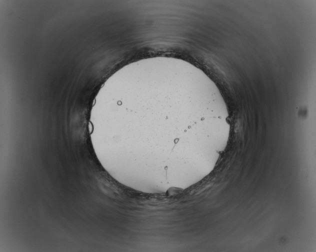 X0000101990868200808081633