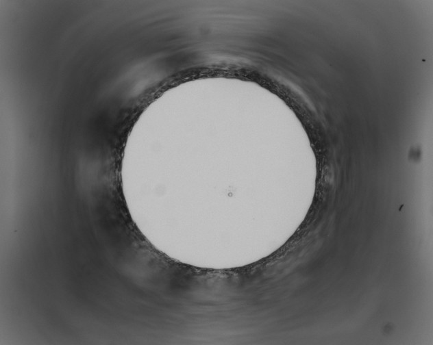 X0000101990869200808081633