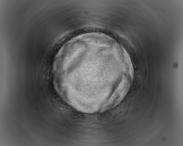 X0000101990870200808081633