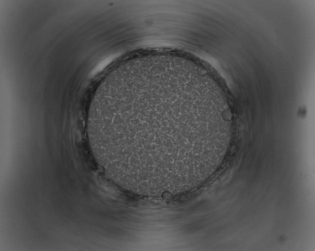 X0000101990871200808081633