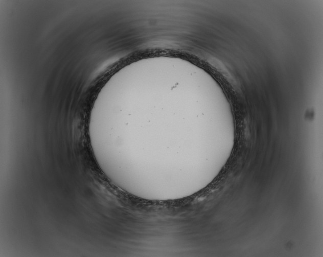 X0000101990872200808081633