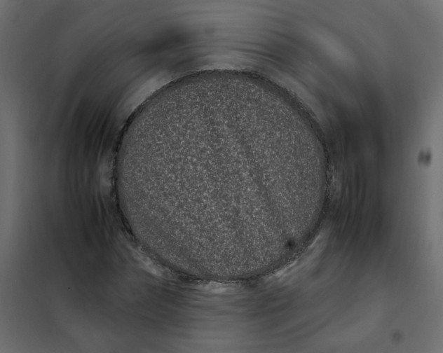 X0000101990874200808081632