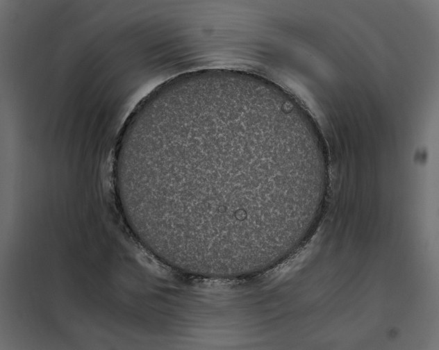 X0000101990875200808081632