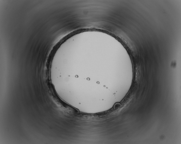 X0000101990876200808081632