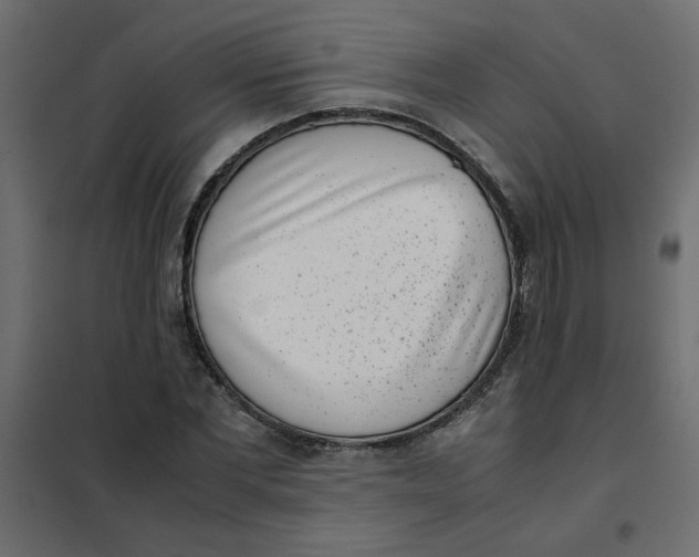 X0000101990877200808081632