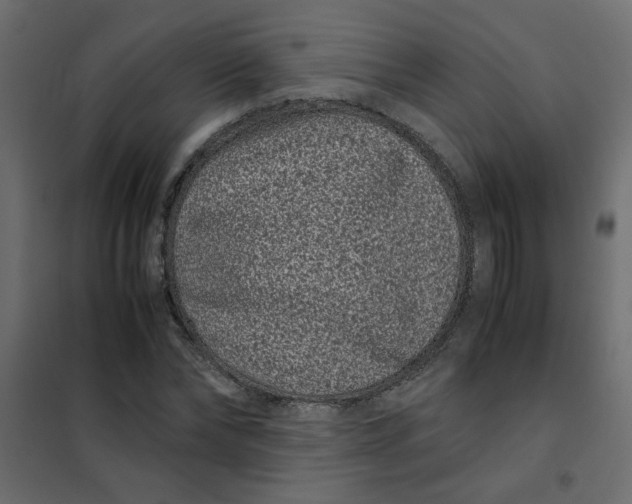 X0000101990878200808081632