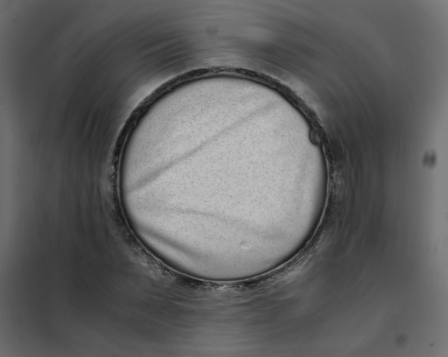 X0000101990879200808081632