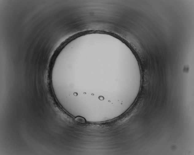 X0000101990880200808081632