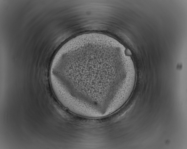 X0000101990881200808081632