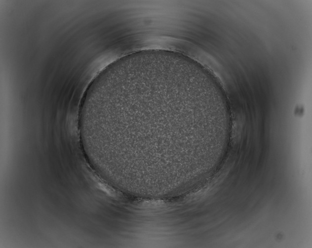 X0000101990882200808081632