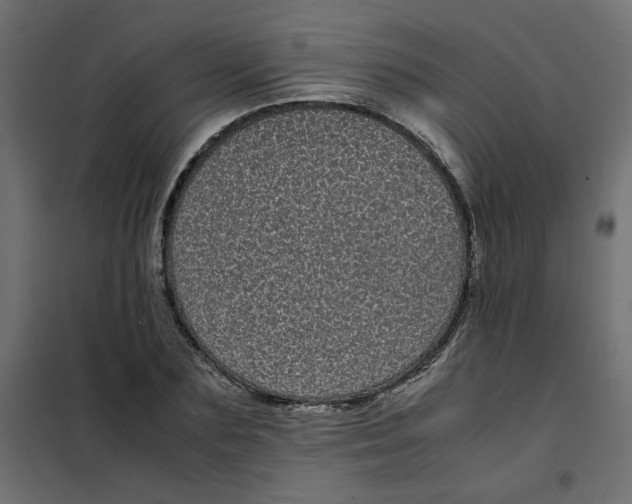 X0000101990883200808081632