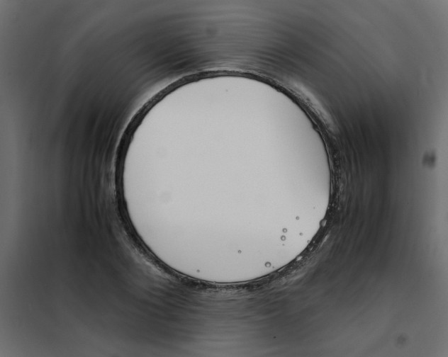 X0000101990884200808081632