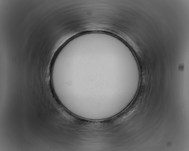 X0000101990885200808081632