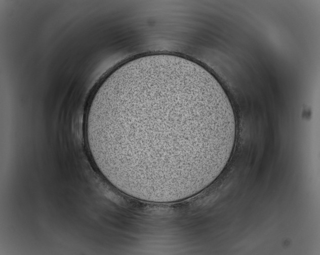 X0000101990886200808081632