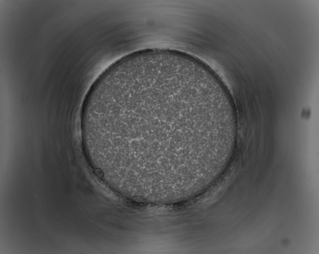 X0000101990887200808081632