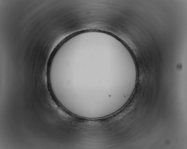 X0000101990888200808081632