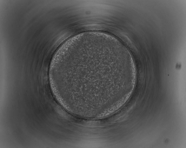 X0000101990889200808081632