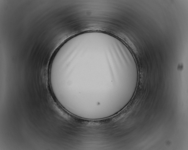 X0000101990890200808081632