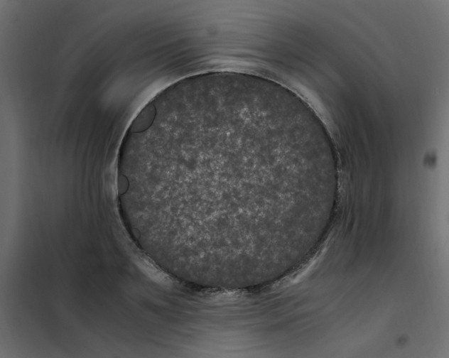 X0000101990891200808081632